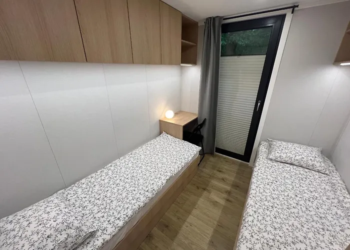 W Cieniu Debow Gorki (Sochaczew)